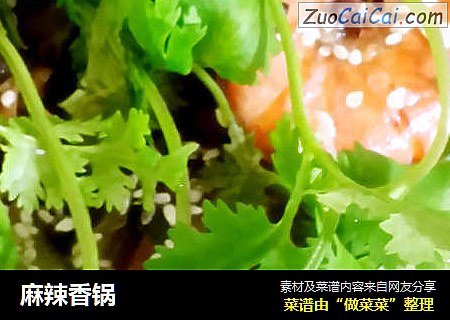 麻辣香锅