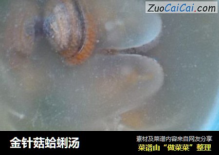 金针菇蛤蜊汤