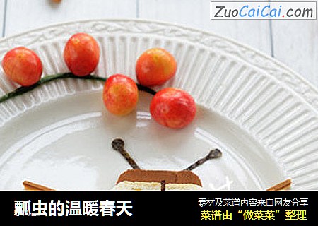 瓢虫的温暖春天