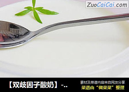 【双歧因子酸奶】---巧用家中的多功能养生壶