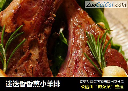 迷迭香香煎小羊排