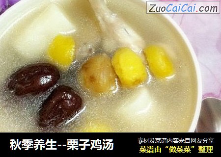 秋季养生--栗子鸡汤