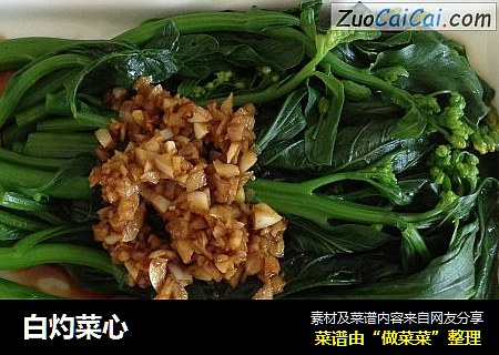 白灼菜心