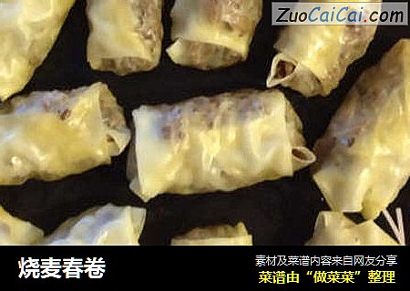 烧麦春卷