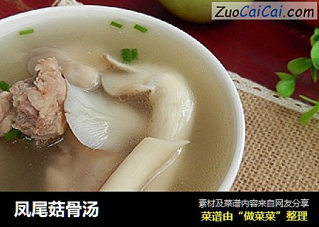 凤尾菇骨汤