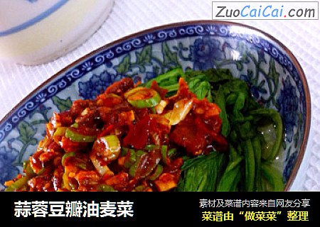 蒜蓉豆瓣油麦菜