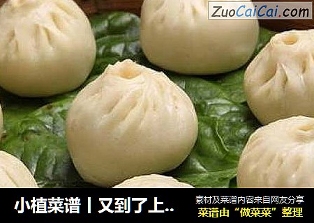 小植菜谱丨又到了上班可以带饭的季节，无“包”不欢——地软小蒸包