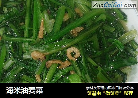 海米油麦菜