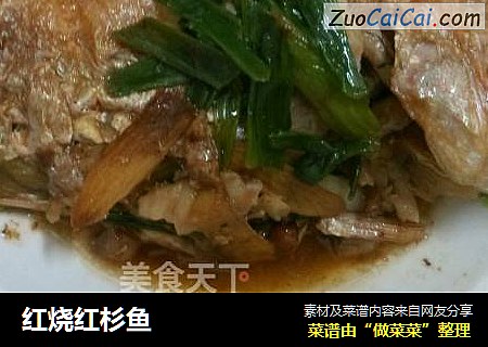 红烧红杉鱼
