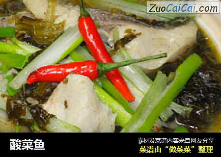 酸菜鱼
