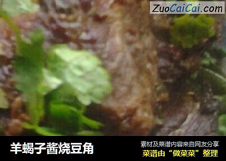 羊蝎子酱烧豆角
