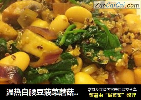 温热白腰豆菠菜蘑菇色拉