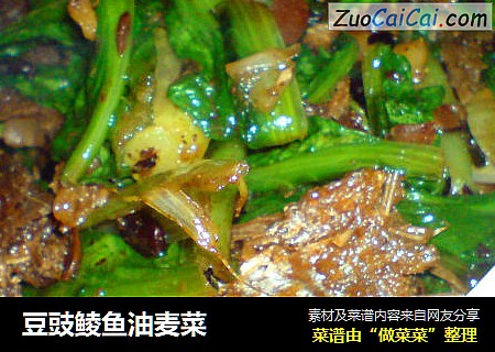 豆豉鲮鱼油麦菜