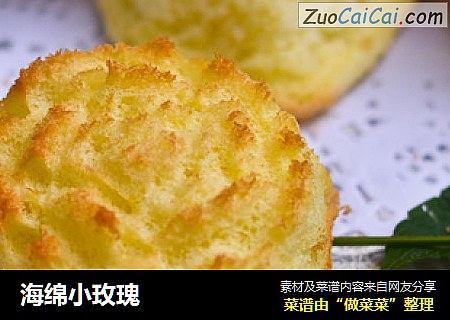 海绵小玫瑰