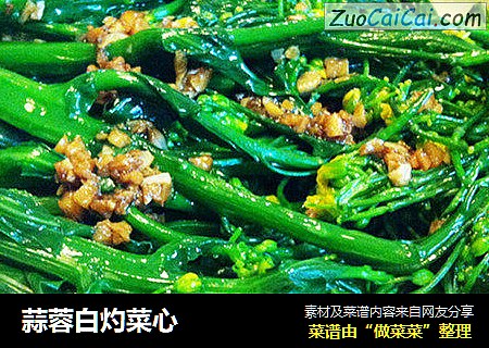 蒜蓉白灼菜心