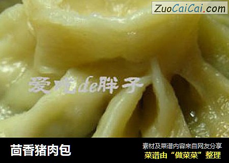 茴香猪肉包