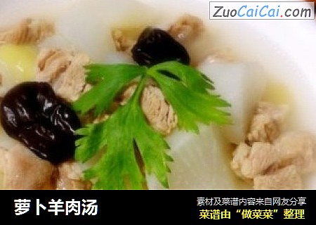 萝卜羊肉汤