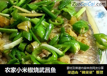 农家小米椒烧武昌鱼