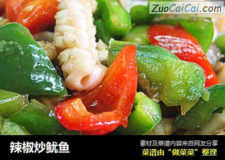 辣椒炒鱿鱼