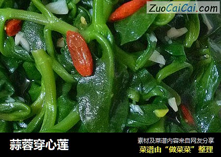 蒜蓉穿心莲