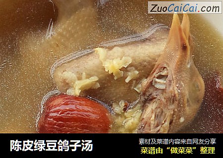 陈皮绿豆鸽子汤