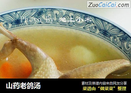 山药老鸽汤