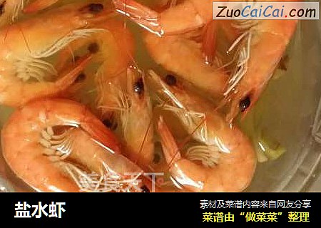 盐水虾
