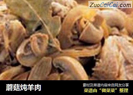 蘑菇炖羊肉