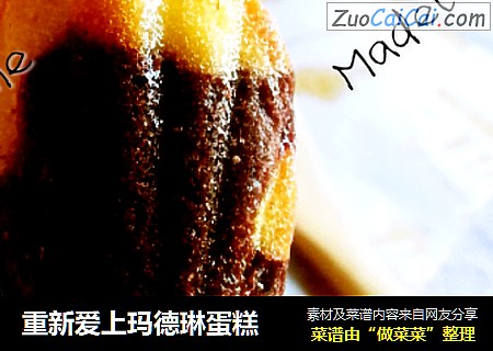 重新爱上玛德琳蛋糕