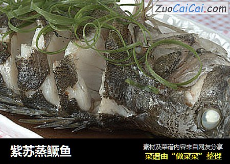 紫苏蒸鳜鱼