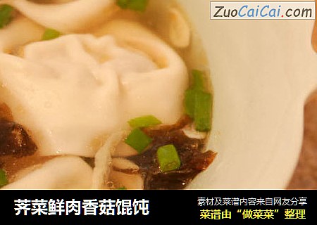 荠菜鲜肉香菇馄饨