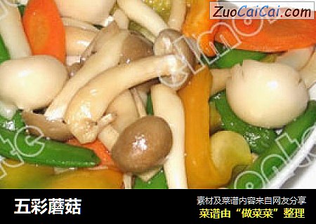 五彩蘑菇