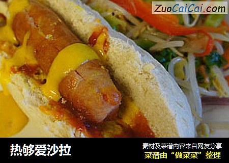 热够爱沙拉
