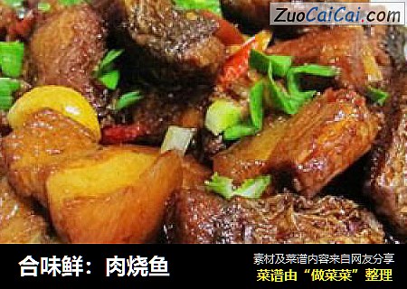 合味鲜：肉烧鱼