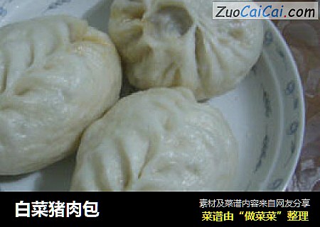 白菜猪肉包