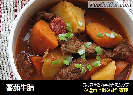 蕃茄牛腩