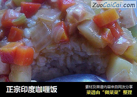 正宗印度咖喱饭