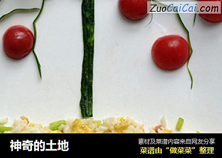 神奇的土地