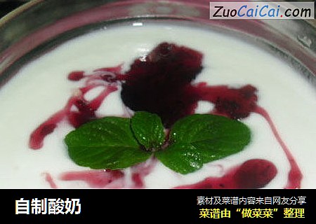 自制酸奶