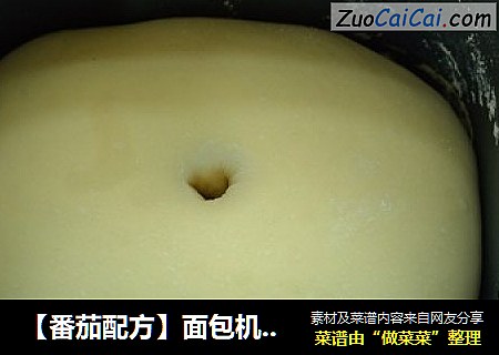【番茄配方】面包机揉面——全程详解，面包入门者的大爱