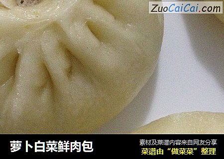 萝卜白菜鲜肉包
