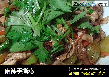 麻辣手撕鸡
