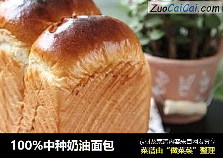 100%中种奶油面包