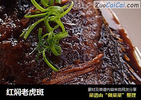 红焖老虎斑