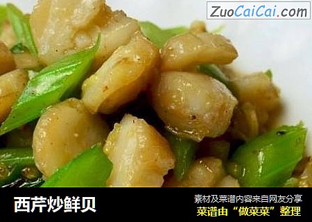 西芹炒鲜贝