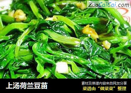 上汤荷兰豆苗