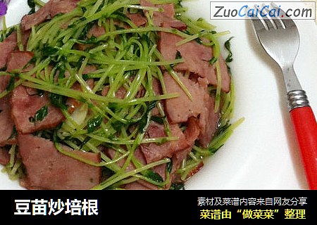 豆苗炒培根