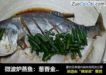 微波炉蒸鱼：葱香金仓鱼