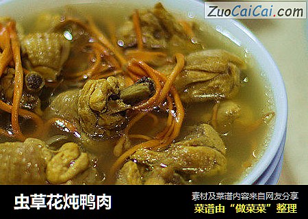 虫草花炖鸭肉