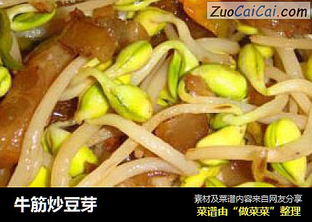 牛筋炒豆芽